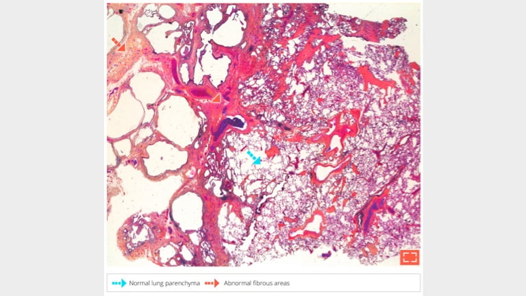 Characteristicpatworkpattern-2@2x